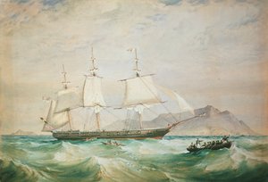 HMS大黄蜂，1861年