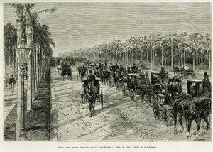 布宜诺斯艾利斯，萨米恩托大道，二月三日公园。托法尼的版画，为1886年的故事《拉普拉塔的旅行》作插图，作者是埃米尔-戴罗，收录在1888年的《世界之旅》中，由爱德华-沙特尔（1807-1890）导演，巴黎哈切特出版社。 作者 奥斯瓦尔多·托法尼（Oswaldo Tofani）