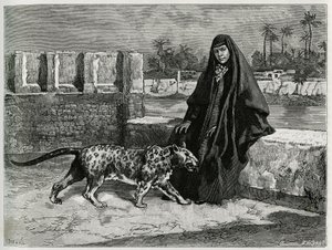 Torkan Khanoum, favorite of Sheikh Moses, powerful tribal leader of Arabistan with his panthere. Engraving by Tofani, to illustrate the story “Persia, Chaldee and Susiane” 作者 奥斯瓦尔多·托法尼（Oswaldo Tofani）