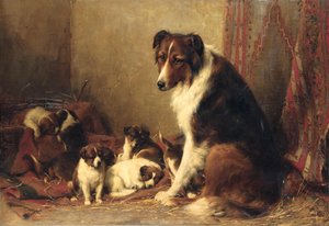 牧羊犬和她的小狗