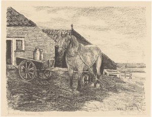 Amelandsche merrie（实物上的原标题）