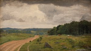 海岛 Kongens Møller 的风景。午后光线