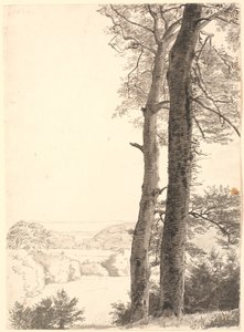 斯卡里索的风景画，前景是两棵高大的山毛榉树。 作者 PC Skovgaard