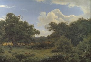 新西兰 Jægerspris 附近 Nordskoven 的橡树 作者 PC Skovgaard