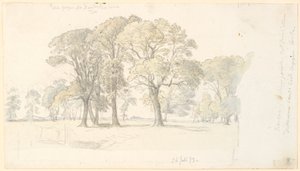 位于耶格尔斯堡鹿公园（Jægersborg Deer Park）的地段，有独立的树木。 作者 PC Skovgaard