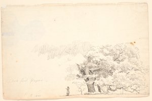 大橡树，左：一个人在读书。 作者 PC Skovgaard