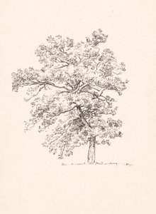 弗雷登斯堡的树 作者 PC Skovgaard