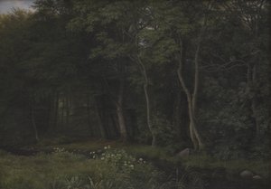 伊瑟林根庄园附近树林中的黄昏场景，新西兰 作者 PC Skovgaard