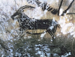 山羊或羚羊，黑室岩画，马格达莱尼安（洞穴绘画）