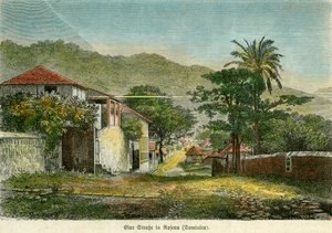 多米尼加罗索的一条街道，约1880年。 作者 毛刺