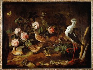 猫头鹰和朱鹮的静物画 - Nature morte avec une chouette et un ibis ... 作者 保罗·波波拉（Paolo Porpora）