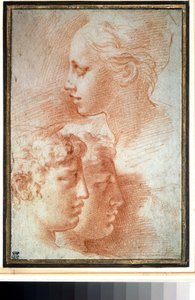 "头部研究。女孩和男孩的脸部轮廓。Girolamo Francesco Maria Mazzola 或 Mazzuoli（又名 il Parmigianino（帕尔马人））的绘画作品 作者 帕玛强尼诺