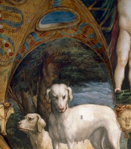 一对狗，Diana和Actaeon神话的细节，Francesco Mazzola（1503-1540），壁画，Diana和Actaeon房间的北侧，Rocca Sanvitale，Fontanellato，靠近意大利帕尔马，约1524年。