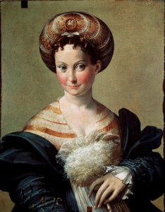 The favorite or Turkish slave Painting by Francesco Mazzola Il Parmigianino called The Parmesan (1503-1540) 1530 approx. Sun. 67x53 cm Parma, Galleria Nazionale 作者 帕玛强尼诺