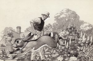 一只兔子戴着猫项圈在花园里跑来跑去（水粉画，纸本）
