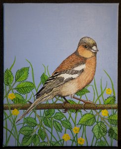 查芬奇，2016 年 作者 帕特·斯科特