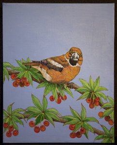 霍芬奇，2016 年