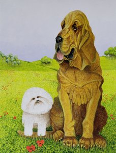 负责人 作者 帕特·斯科特