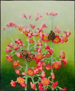 粉红色》，2011 年（花布上的丙烯画）