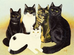 考克斯小姐的猫