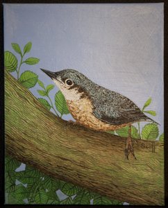 山雀，2016 年