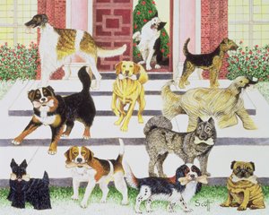 派对礼物 作者 帕特·斯科特