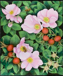 团队合作，2011 年（丙烯酸画布）