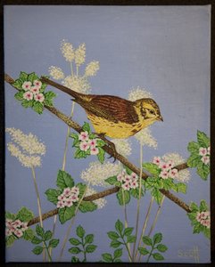 黄锤，2016