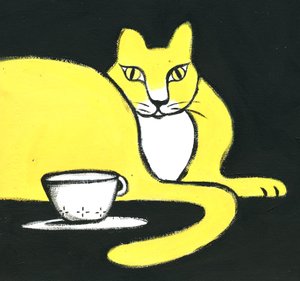 猫