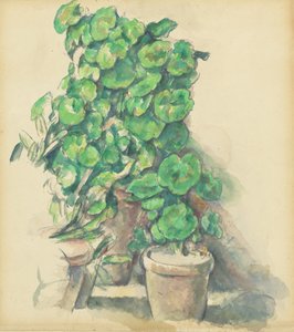 天竺葵, 18881890. 作者 保罗·塞尚