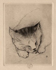 六幅蚀刻版画小猫的头