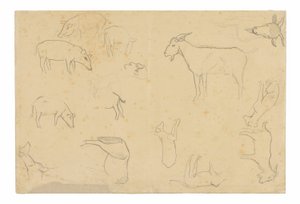 各种动物和头部素描（正面），头部素描、人物侧面、解剖细节和动物（背面） 作者 保罗·高更