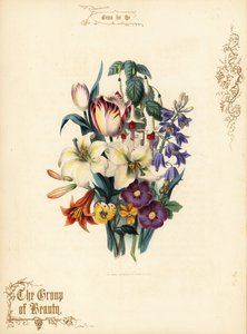 百合花、郁金香、紫红色、虎尾兰花束。 作者 保罗杰拉德