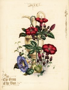 大红绣线菊和蓝色牵牛花花束，配花瓶。 作者 保罗杰拉德