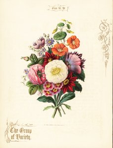 白玫瑰、大丽花、金莲花、耳花的花束。 作者 保罗杰拉德