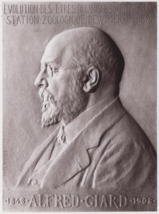 Alfred Giard (1846-1908), zoologist, portrait (litho) 作者 保罗·玛丽·路易斯·皮埃尔·里希