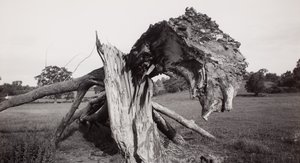 怪物田野"，卡斯沃农场，纽恩特，格洛斯特郡 作者 保罗·纳什