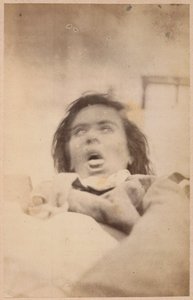 歇斯底里的癫痫，幻觉，痛苦，扁平的XXIX来自&39;La Salpetriere的摄影图像&39;，Bourneville和P. Regnard，巴黎，1876年（蛋白印刷品）