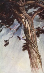 威廉-莎士比亚的《暴风雨》，第一幕，第二场（彩色石版画） 作者 保罗·文森特·伍德罗夫