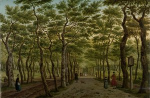 海牙博斯（Haagse Bos）的 "Herepad
海牙附近的谢弗宁根森林 作者 Paulus Constantijn la Fargue（艺术家签名）