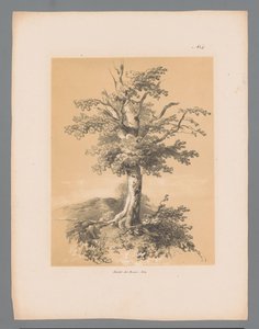 树
保卢斯-劳特斯的风景画（系列标题）
保卢斯-劳特斯创作的 1839 年风景画（系列标题） 作者 法国美术学院