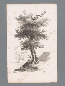 有树的景观
景观设计原理（系列名称）
景观原理（系列名称）