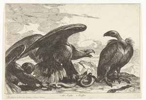 秃鹫和鹰与蛇
des Aigles 2.狮鹫（物品上的标题）
凡尔赛动物园的鸟类（系列名称） 作者 彼得·布尔