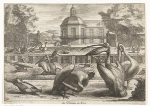 鹈鹕
Des Pelicans de Mere（物品名称）
凡尔赛动物园的鸟类（系列名称） 作者 彼得·布尔