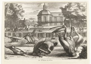 鹈鹕队 des Pelicans de Mere（物体上的标题） 凡尔赛动物园的鸟类（系列名称） 作者 彼得·布尔