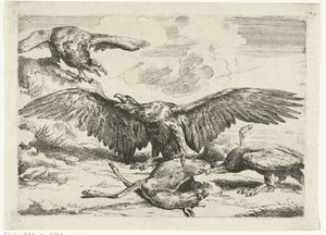 三只老鹰争夺一只死鹿
Diversi uccelli（系列名称） 作者 彼得·布尔