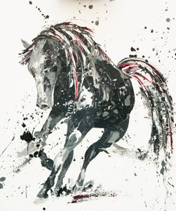 Capriccio, 2014 作者 潘妮·沃登（Penny Warden）