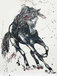 Significance, 2016