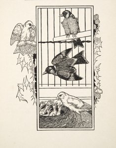 一个慈善金丝雀，来自动物的一百个轶事，酒吧。 1924年 作者 珀西·比林斯赫斯特（Percy J.