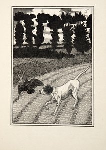 从动物的一百个轶事欺骗福勒，酒吧。 1924年 作者 珀西·比林斯赫斯特（Percy J.